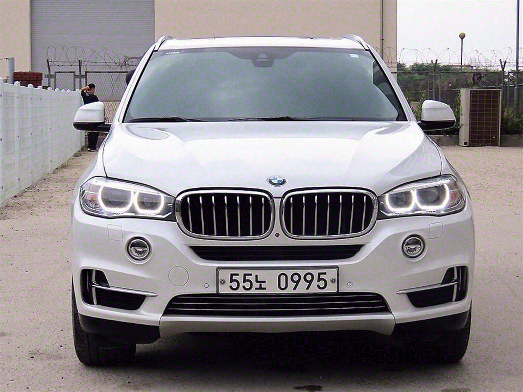 BMW X5(3) 30d xDrive 