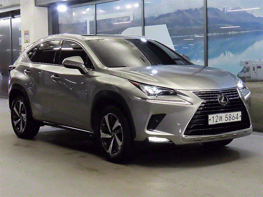  NX 300h 