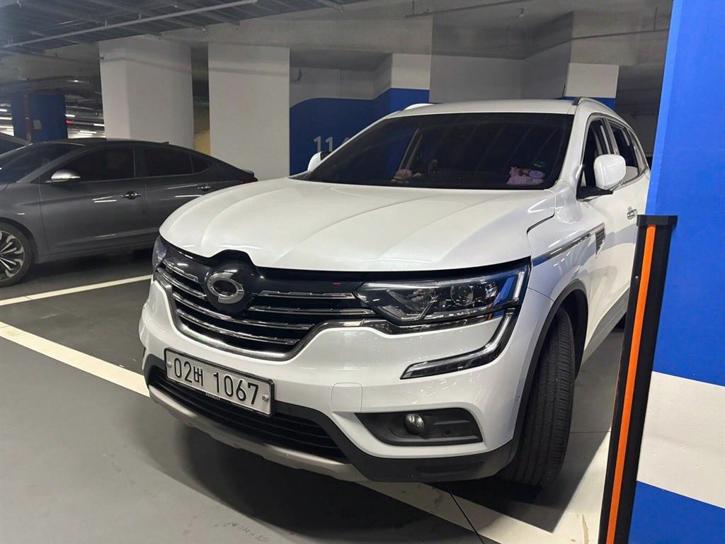 (Ｚ) QM6 2.0 dCi 2WD RE