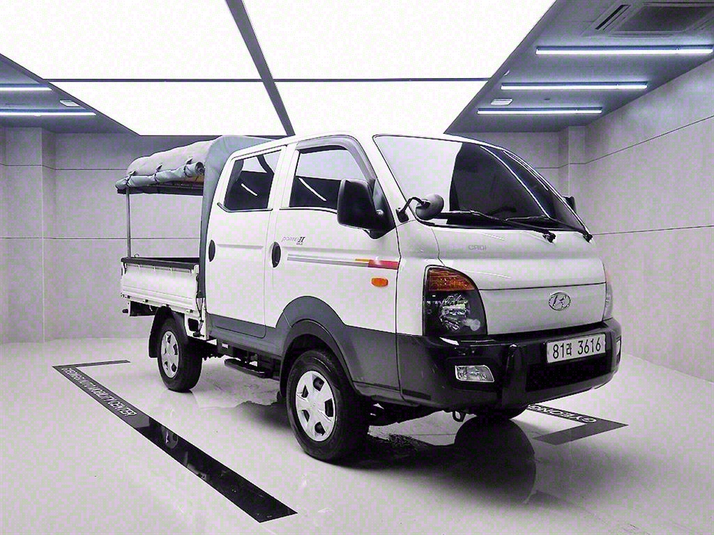 ���� ����II CRDi 4WD ����ĸ ���� ���