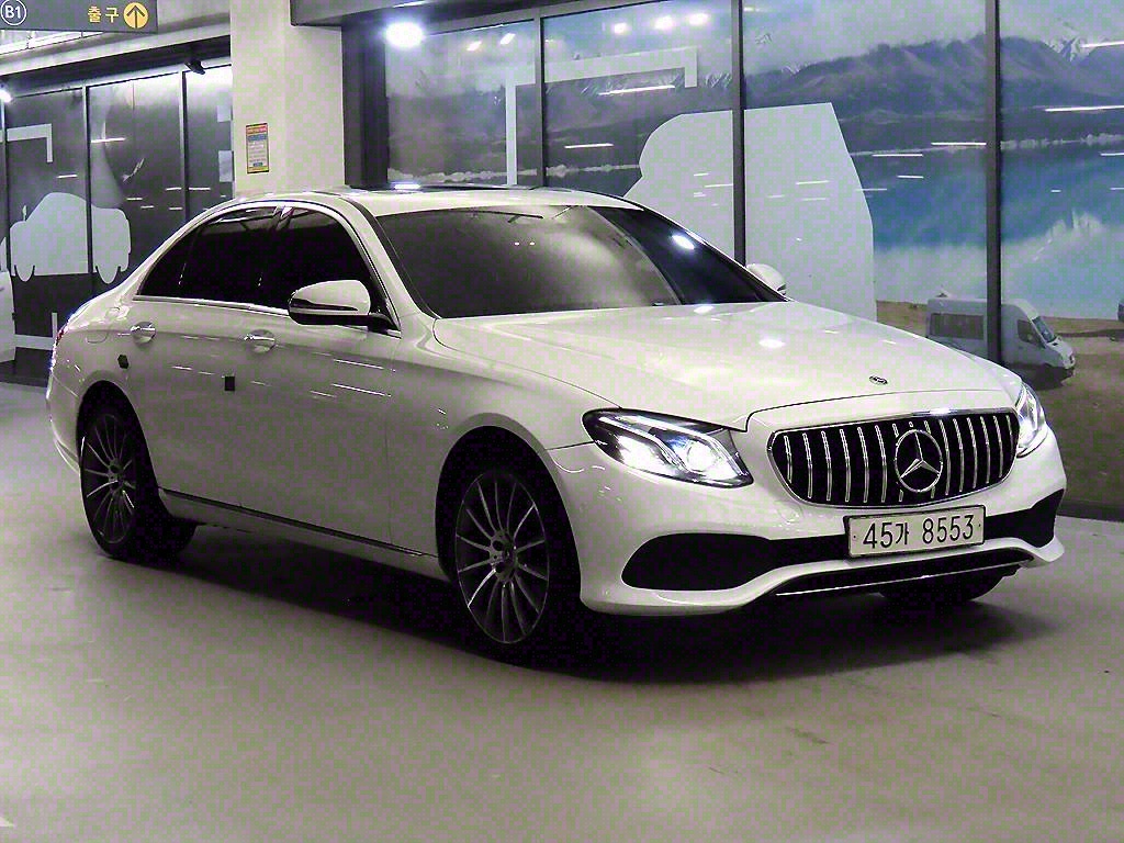  EŬ(5) E220d ƹ氡