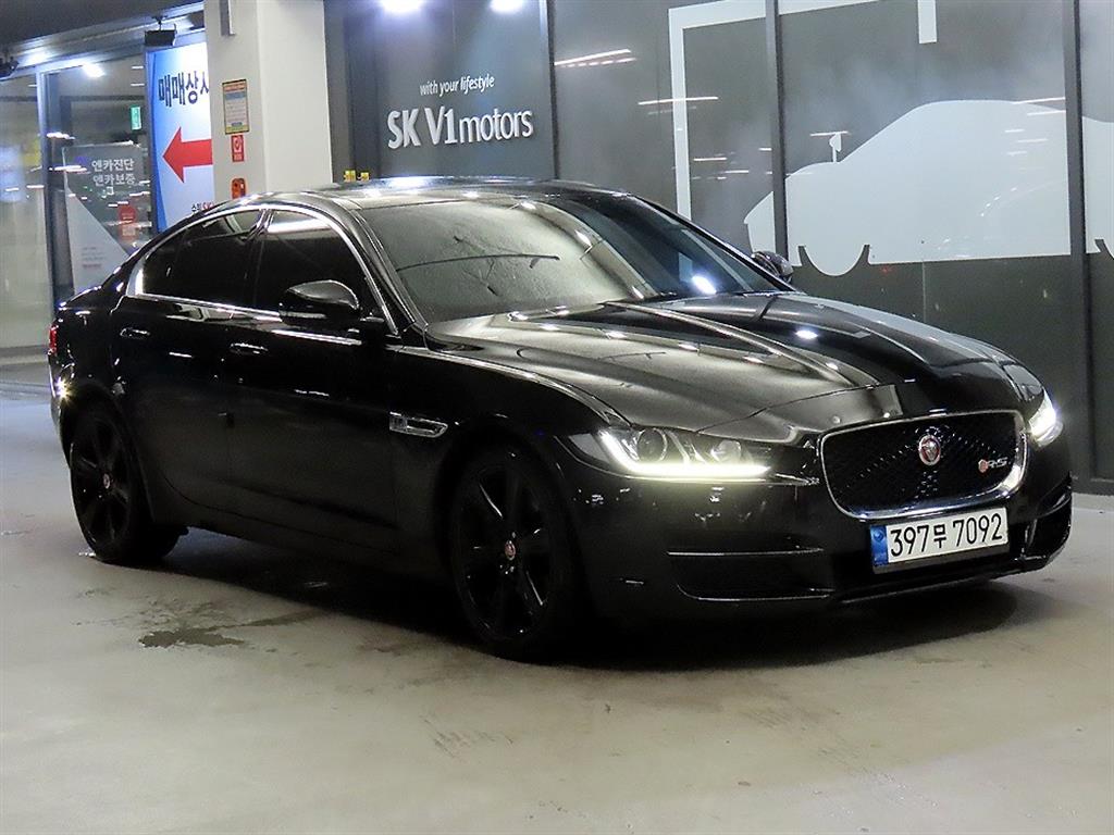 ��Ծ� XE 2.0 20d ��Ʈ������