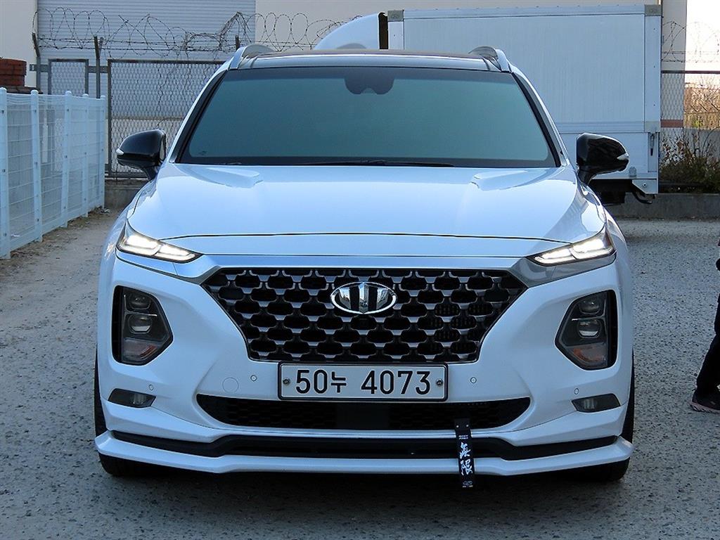 ���� ��Ÿ��(TM) 2.0T GDi 2WD �ν��۷��̼�