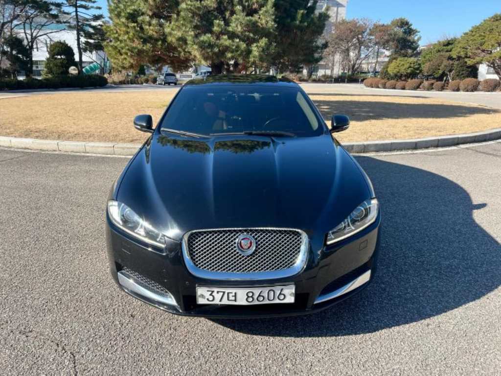 ��Ծ� XF 2.2D ���Ÿ�
