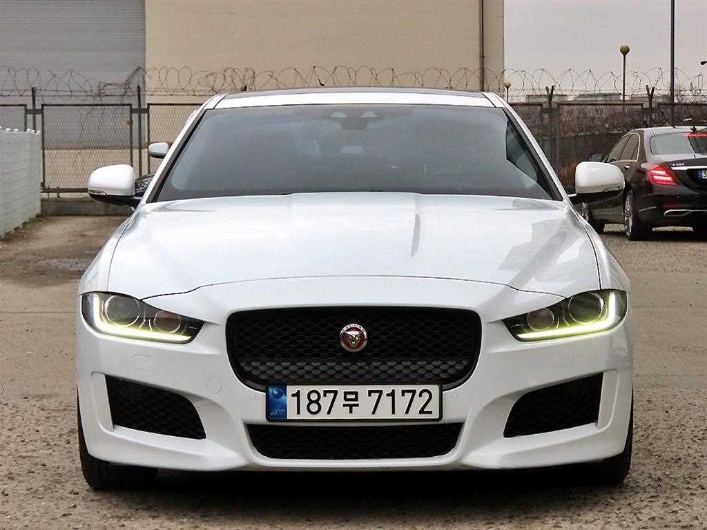 ��Ծ� XE 2.0 20t ������Ƽ��