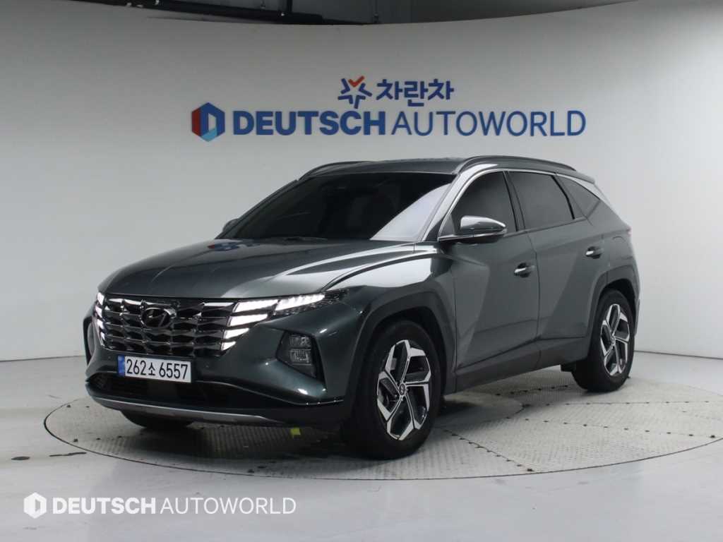 ���� �� �ô����� 1.6 �ͺ� 2WD �ν��۷��̼�