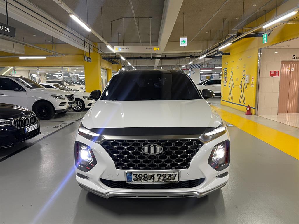 ���� ��Ÿ��(TM) 2.0T GDi 4WD �ν��۷��̼�