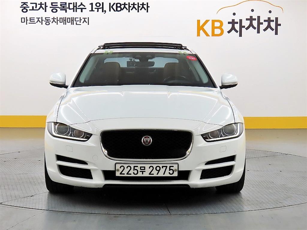 ��Ծ� XE 2.0 20d 
