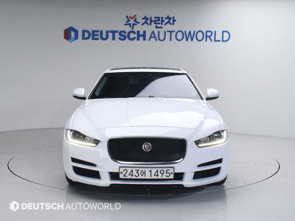 ��Ծ� XE 2.0 20d 