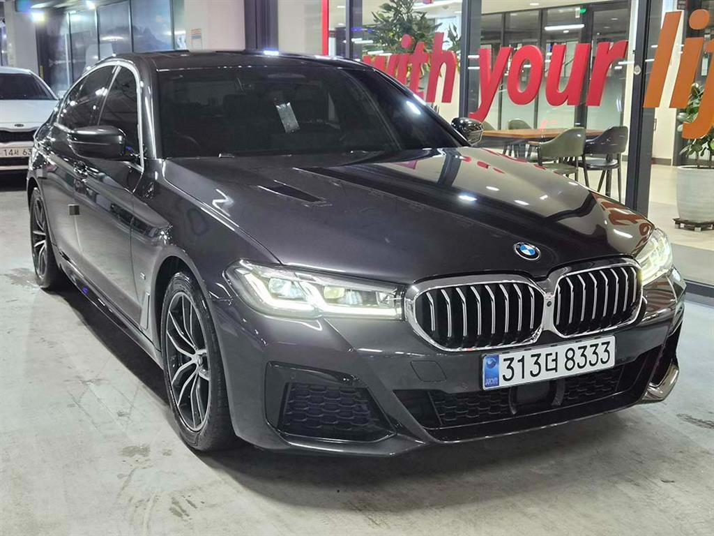 BMW 5�ø���(7����) 523d M ��������