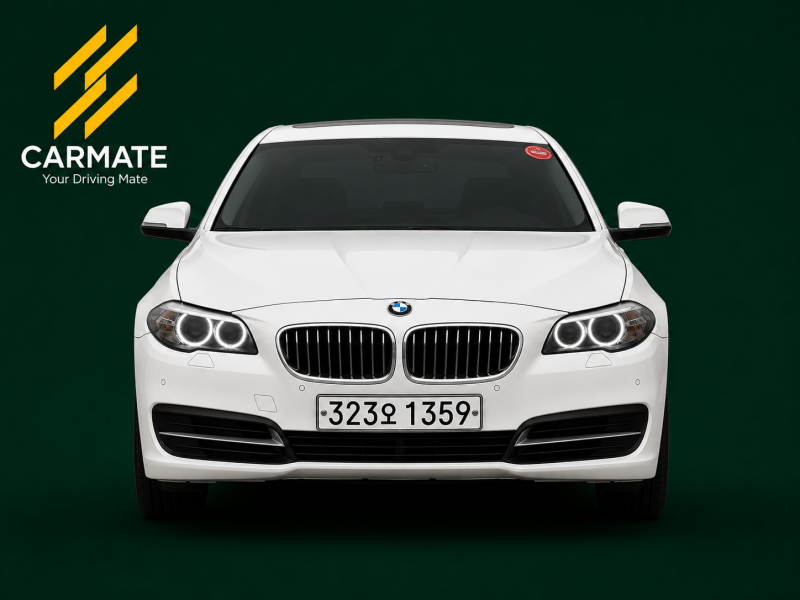 BMW 5�ø���(6����) 520d xDrive 