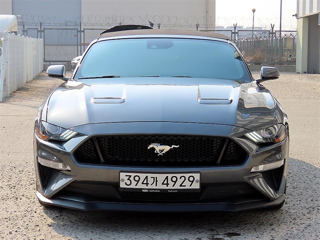 ���� �ӽ���(6����) �����ͺ� 5.0 GT �����̾�