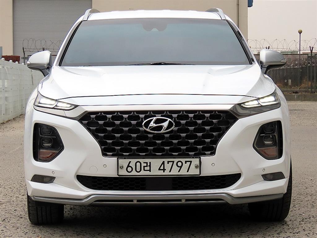 ���� ��Ÿ��(TM) 2.0T GDi 2WD �ν��۷��̼�