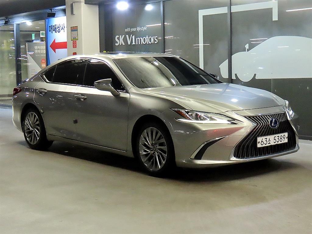������ ES(7����) 300h ���Ÿ� �÷���