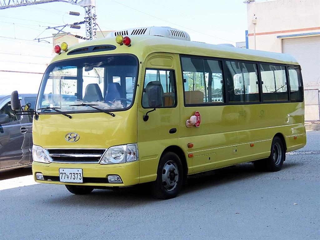 ���� ��ī��Ƽ 39�ν� �չٵ� ��̹���