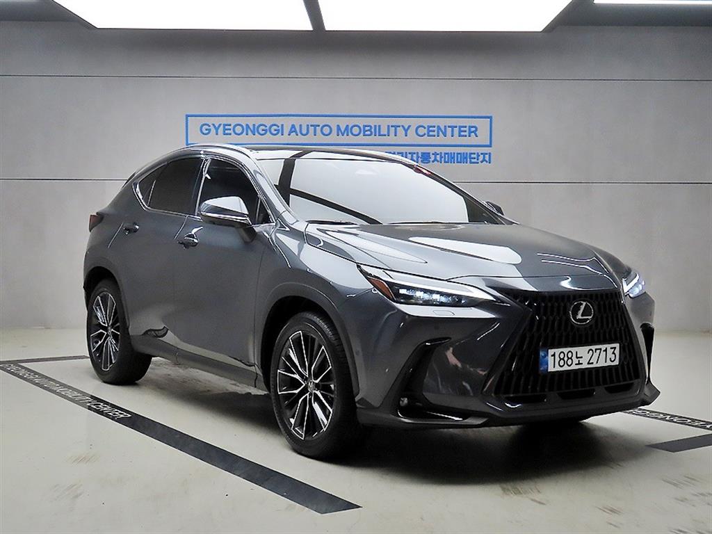 ������ NX(2����) 350h ���Ÿ�