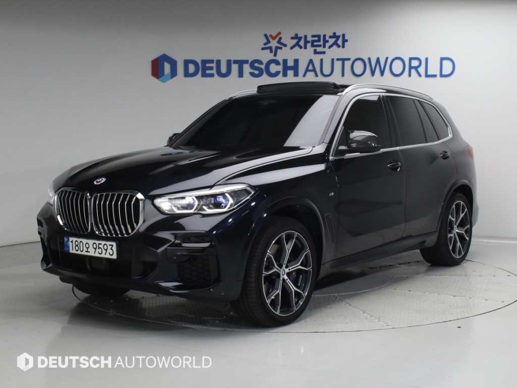 BMW X5(4����) 30d xDrive M ��������
