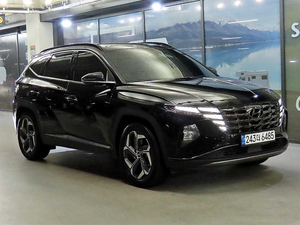 ���� �� �ô����� 1.6 �ͺ� 2WD �ν��۷��̼�