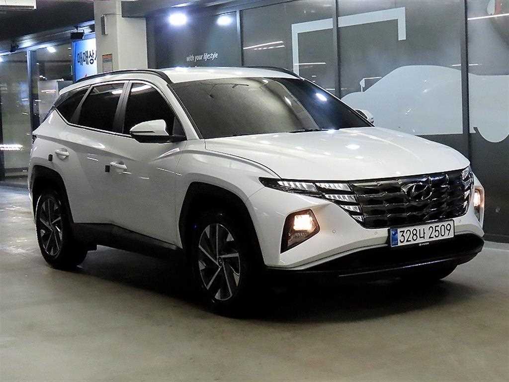 ���� �� �ô����� 1.6 �ͺ� AWD �����̾�