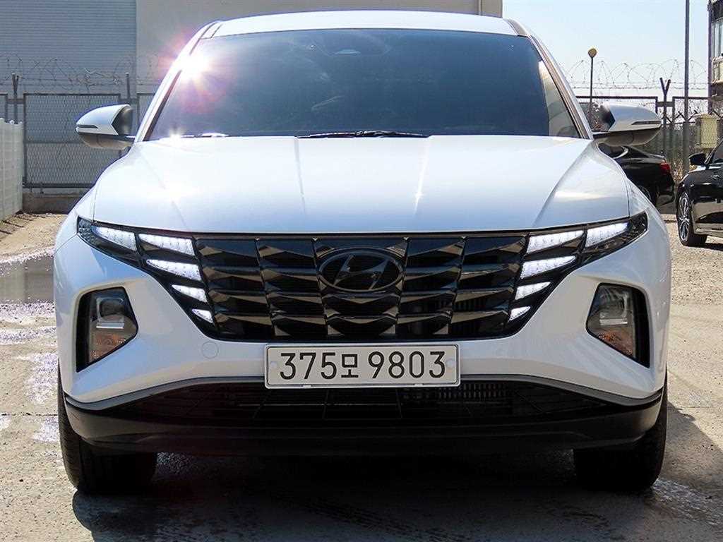 ���� �� �ô����� 2.0 ���� 2WD ���