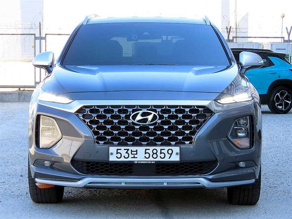 ���� ��Ÿ��(TM) 2.0T GDi 2WD �ν��۷��̼�