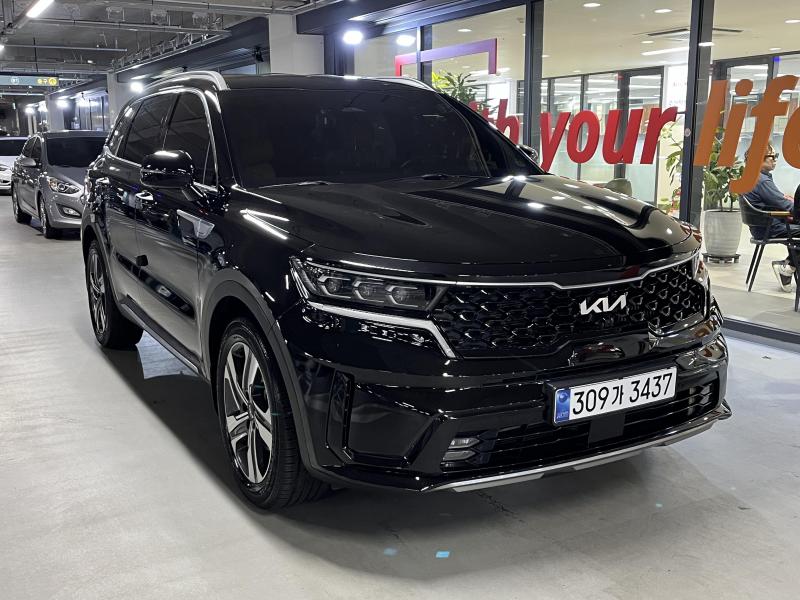 ��� ������� ���̺긮��(MQ4) 1.6 HEV 2WD �������