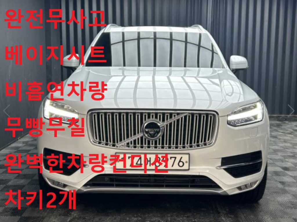 ���� XC90(2����) D5 AWD �ν�ũ����