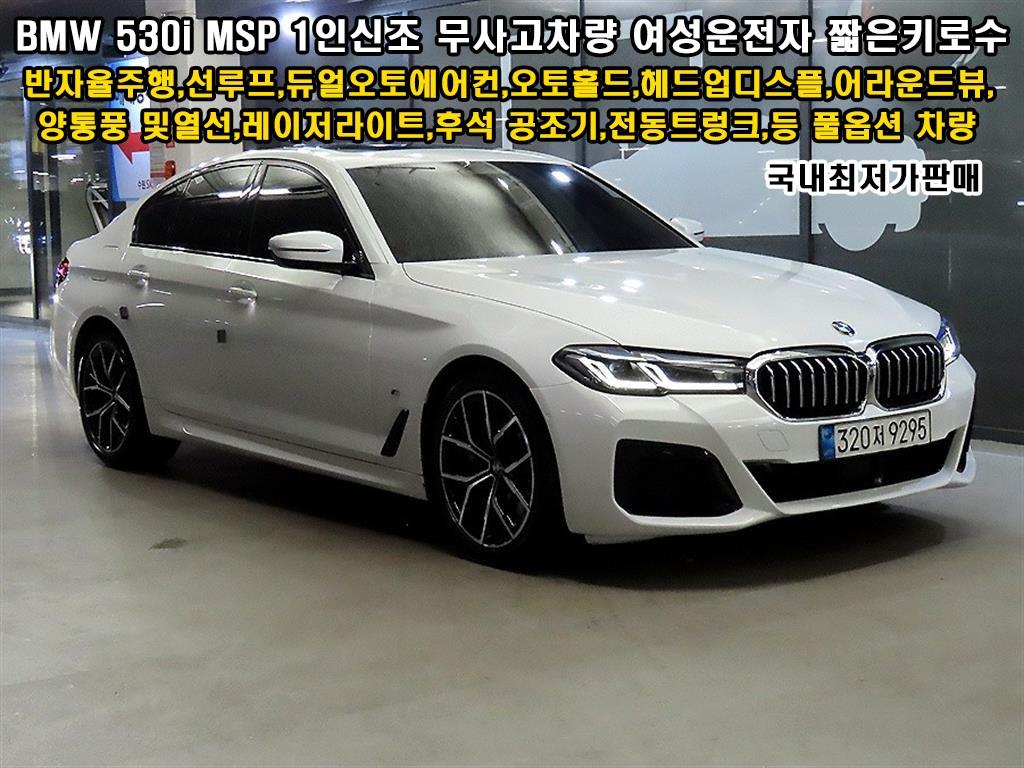 BMW 5�ø���(7����) 530i M ��������