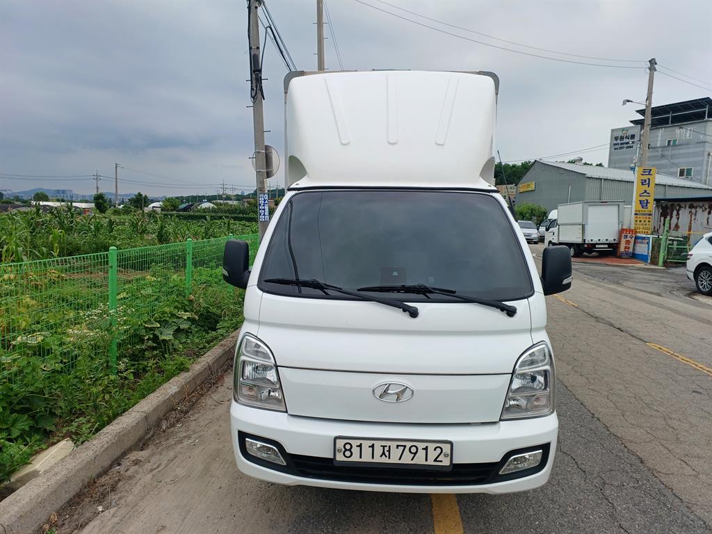 ���� ����II VGT ����ĸ ������ ���