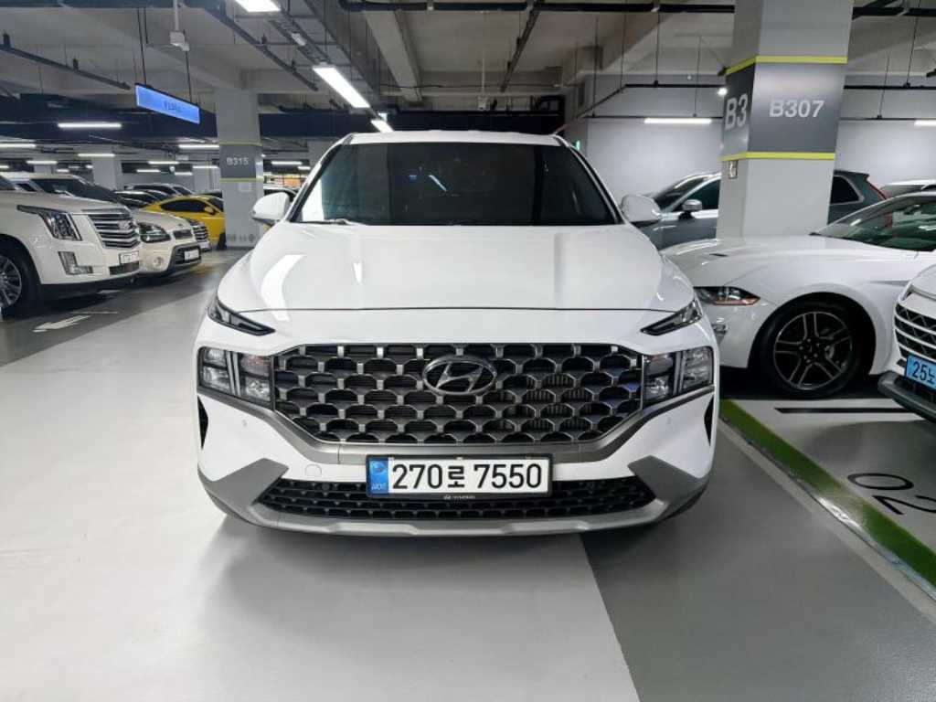 ���� �� ����Ÿ�� ���ָ� 2.5 AWD �����̾� ���̽�