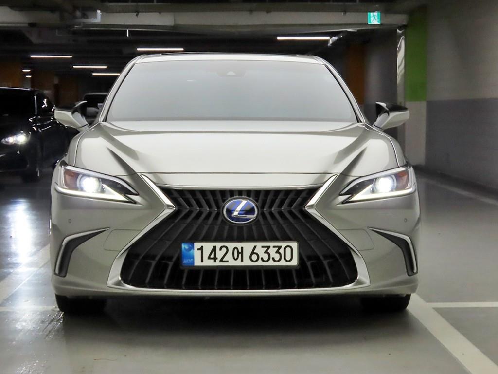 ������ ES(7����) 300h ���Ÿ� �÷���