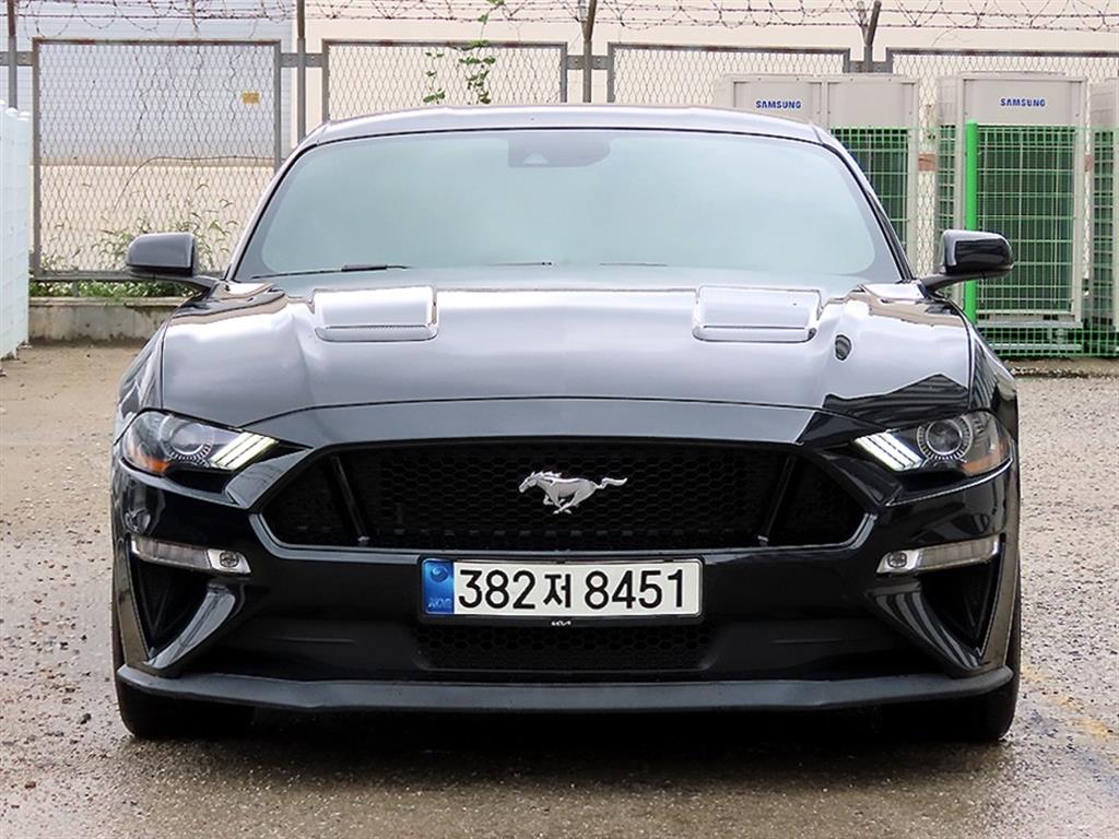 ���� �ӽ���(6����) ���� 5.0 GT �����̾�