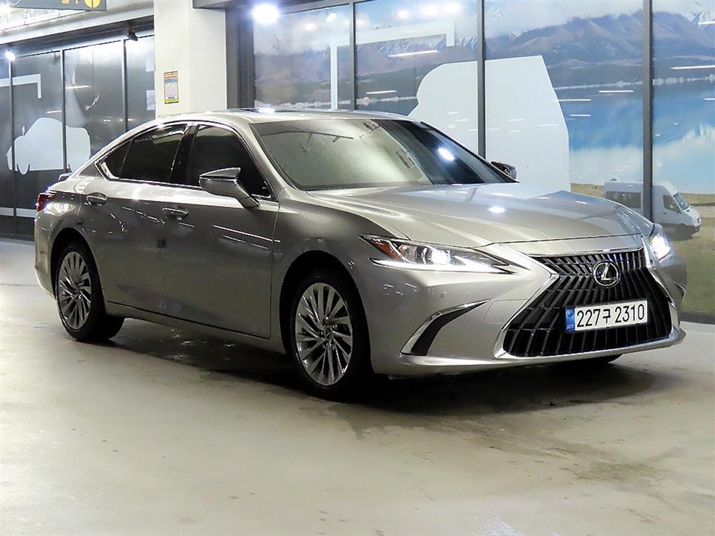 ������ ES(7����) 300h ���Ÿ� �÷���