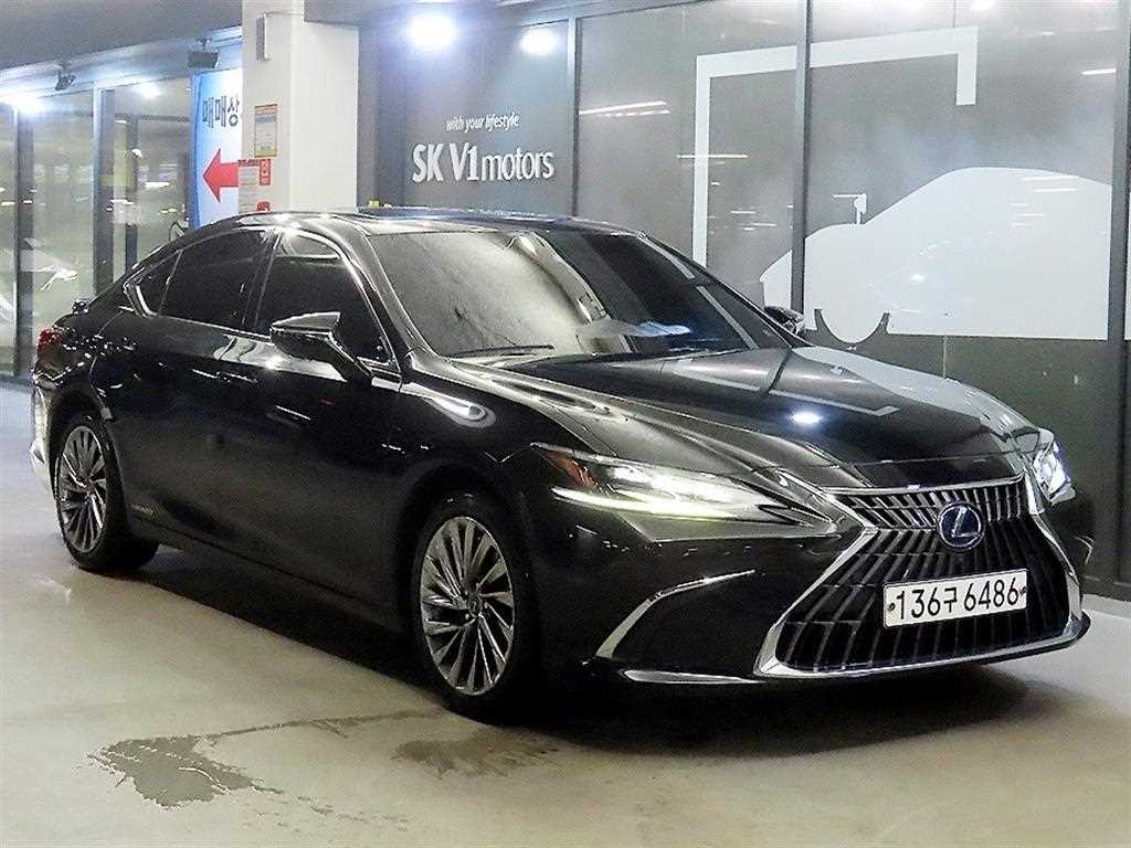 ������ ES(7����) 300h �̱���ťƼ��