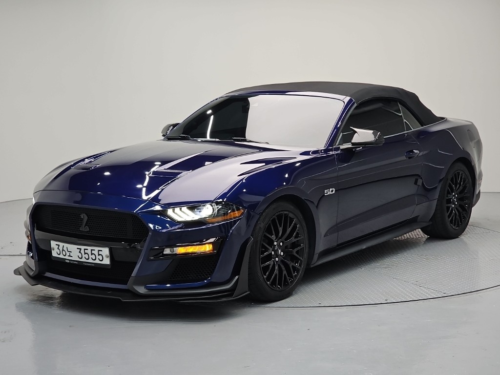 ���� �ӽ���(6����) �����ͺ� 5.0 GT �����̾�