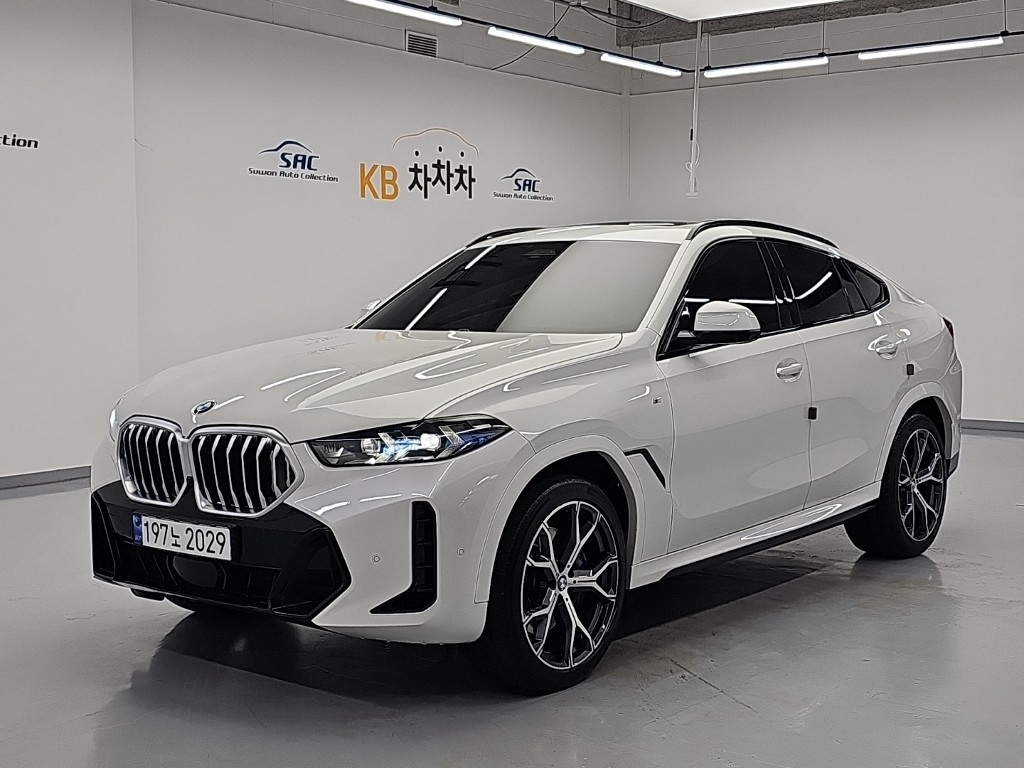 BMW X6(3����) 30d xDrive M ��������