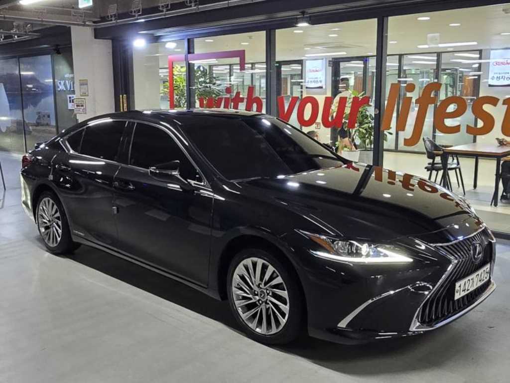 ������ ES(7����) 300h ���Ÿ� �÷���