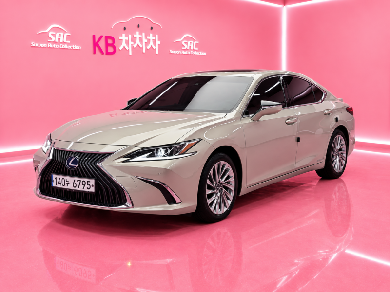 ������ ES(7����) 300h ���Ÿ� �÷���