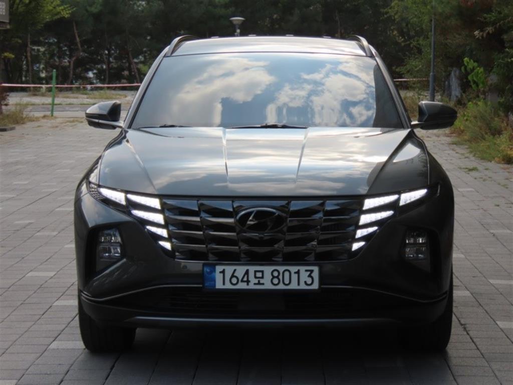 ���� �� �ô����� ���̺긮�� 1.6 HEV 2WD �ν��۷��̼�
