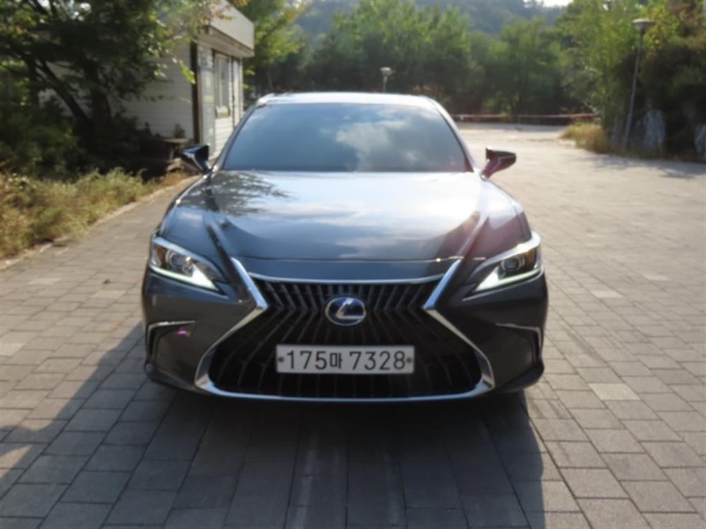 ������ ES(7����) 300h ���Ÿ� �÷���