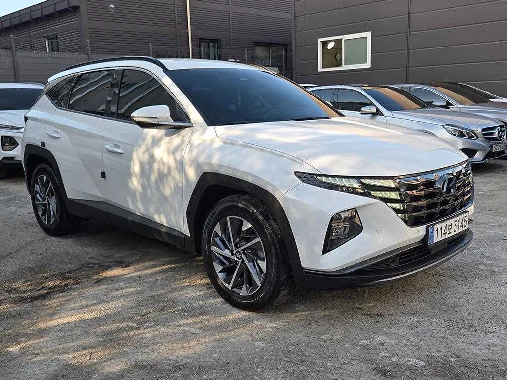 ���� �� �ô����� ���̺긮�� 1.6 HEV 2WD �ν��۷��̼�