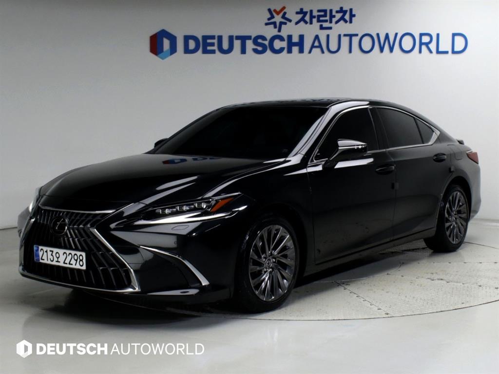 ������ ES(7����) 300h �̱���ťƼ��
