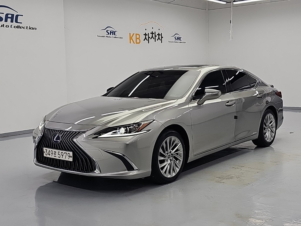������ ES(7����) 300h ���Ÿ� �÷���