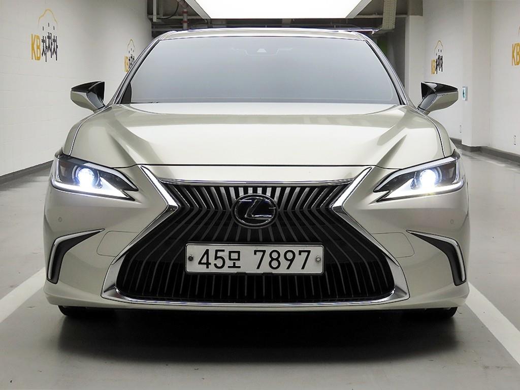 ������ ES(7����) 300h ���Ÿ� �÷���