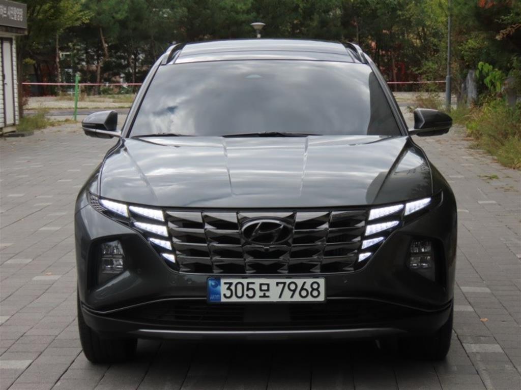���� �� �ô����� ���̺긮�� 1.6 HEV 2WD �ν��۷��̼�