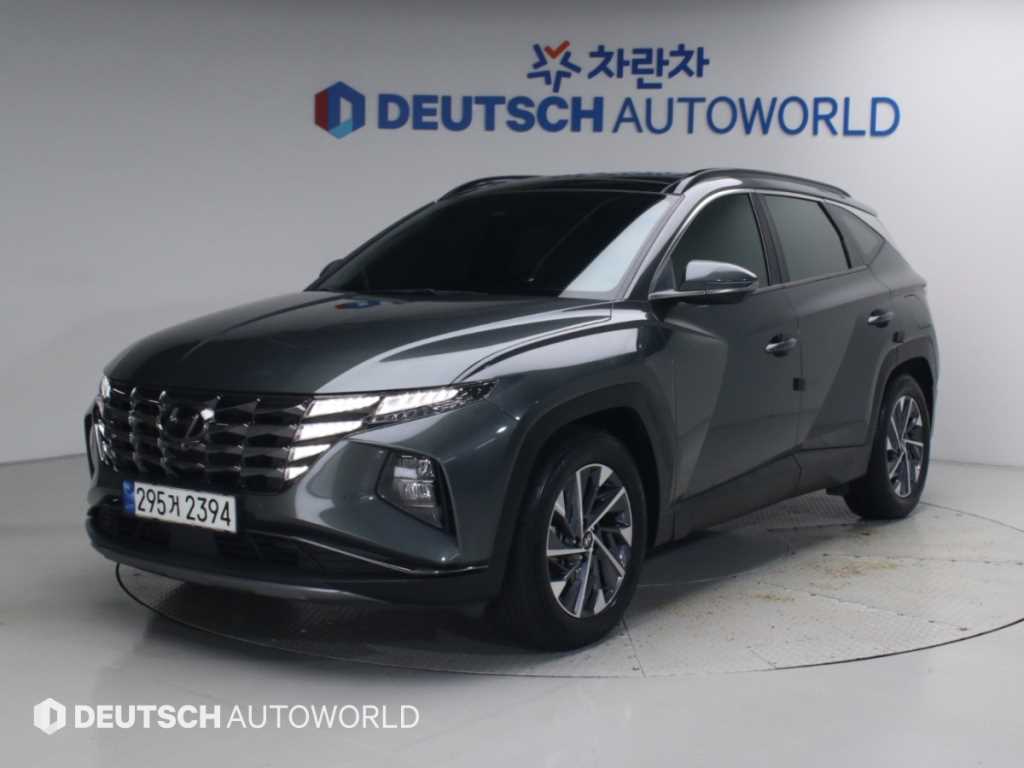 ���� �� �ô����� ���̺긮�� 1.6 HEV 2WD �ν��۷��̼�