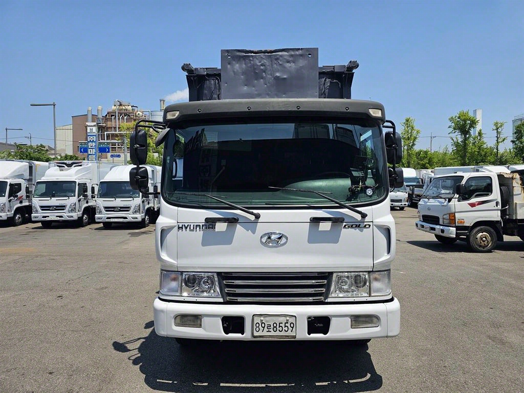 Hyundai Mega Truck Jipgecha 5т