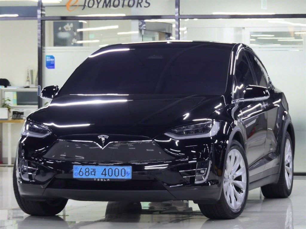 테슬라 Model X AWD Rong Reinji