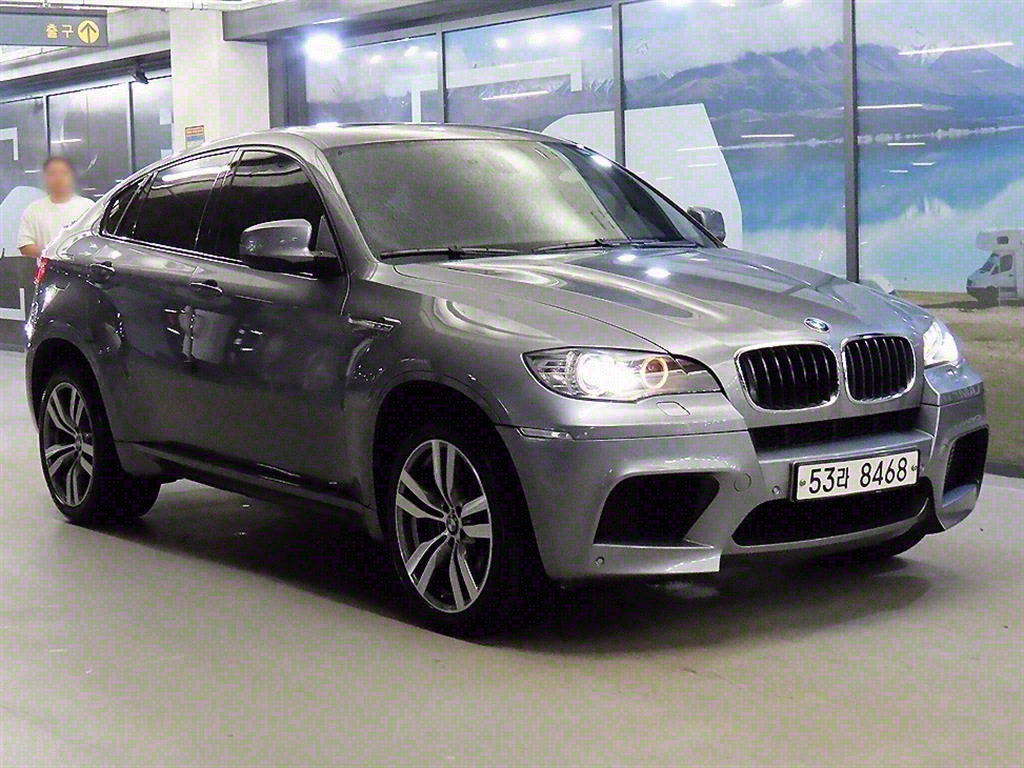 BMW X6 4.4