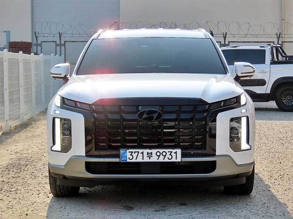 현대 팰리세이드 2.2 2WD Le Blanc